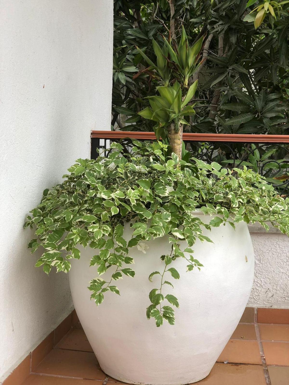 Hotel Casa Bethel 산타마르타 외부 사진